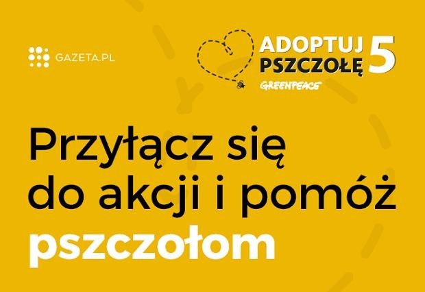 Gazeta.pl po raz trzeci partnerem akcji 
