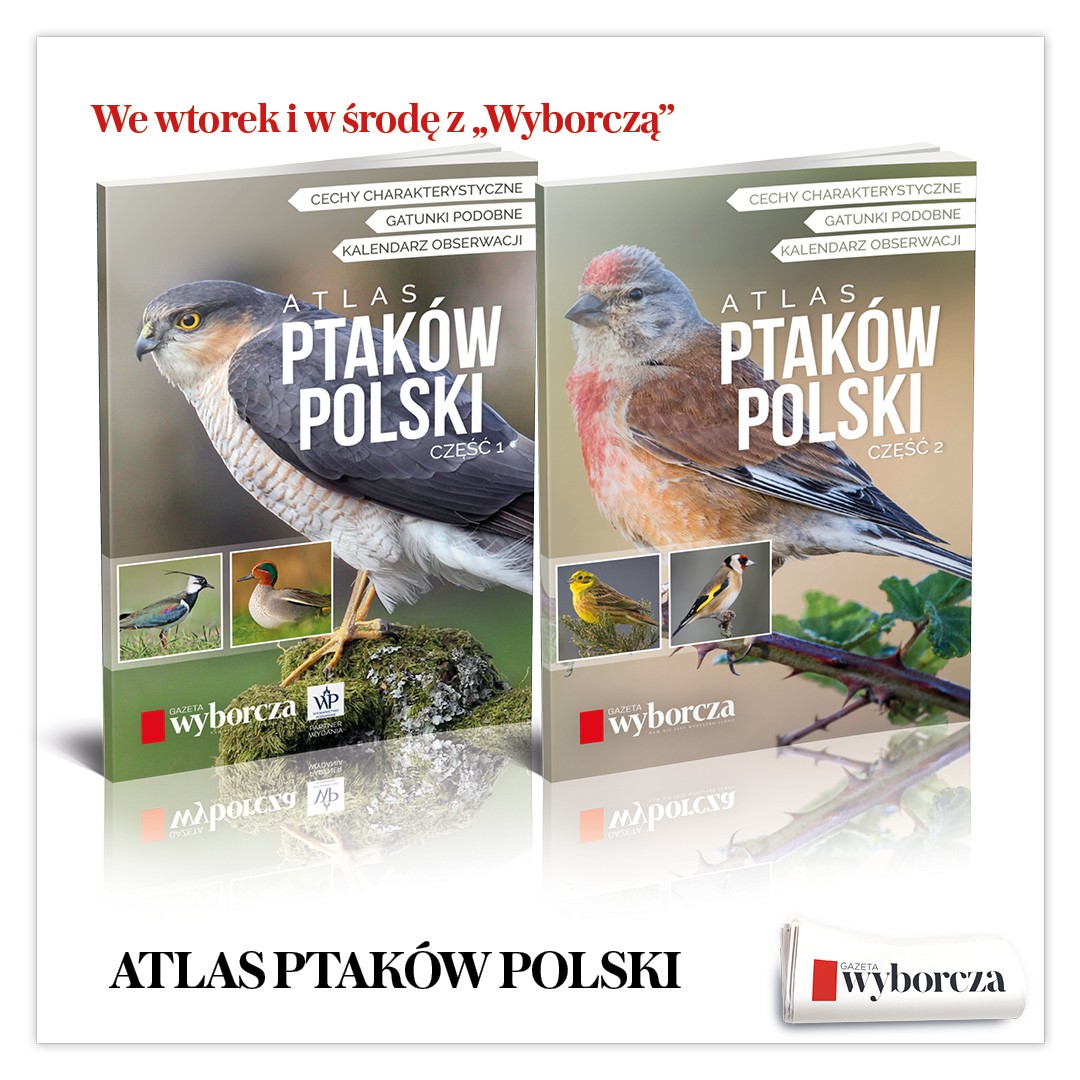 Dwuczęściowy album „Ptaki Polski. Atlas z kalendarzem obserwatora” - 9 i 10 czerwca z  „Gazetą Wyborczą”