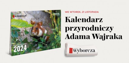 Kalendarz przyrodniczy ze zdjęciami Adama Wajraka we wtorkowym wydaniu „Gazety Wyborczej”