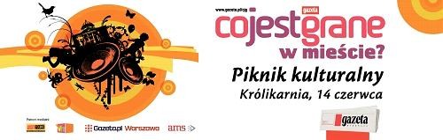 Drugi piknik 