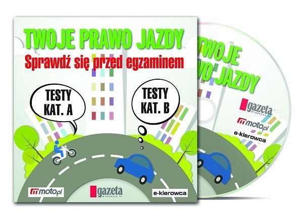 Płyta 