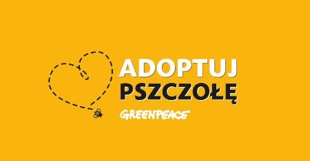Akcja „Adoptuj pszczołę” znowu na Gazeta.pl