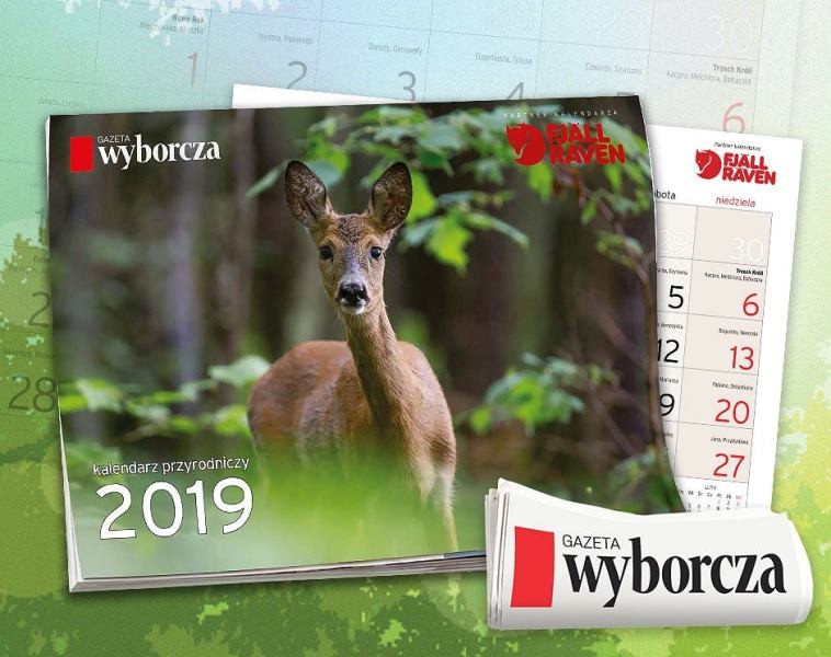Kalendarz na 2019 rok ze zdjęciami Adama Wajraka z „Gazetą Wyborczą