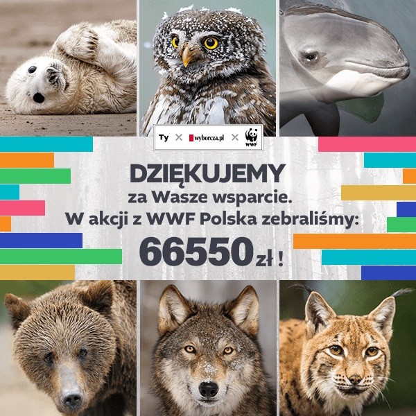 66 550 zł dla WWF w akcji 