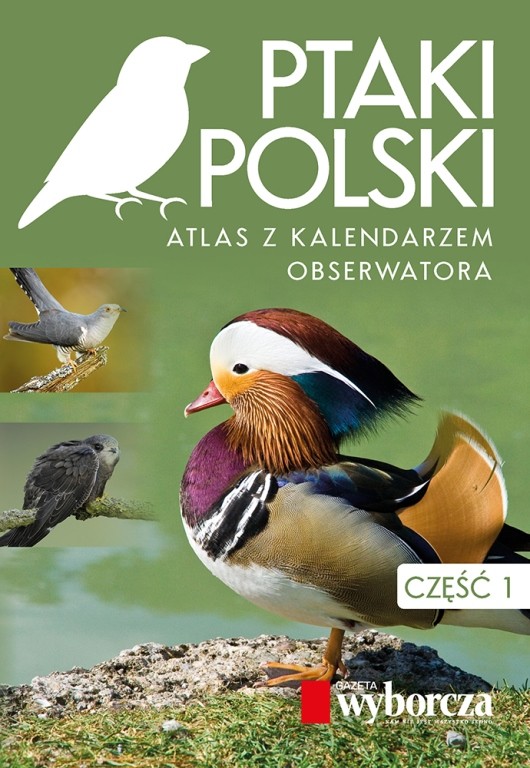 Książki „Ptaki Polski. Atlas z kalendarzem obserwatora
