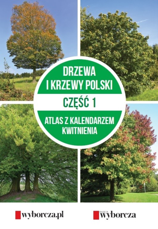 Książki „Drzewa i krzewy Polski. Atlas z kalendarzem kwitnienia