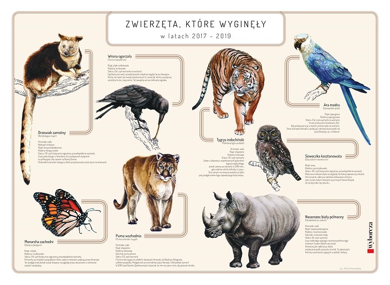 „Gazeta Wyborcza” ze specjalnym dodatkiem - plakatem „Zwierzęta które wyginęły w latach 2017 - 2019” w sprzedaży 25 lutego br.