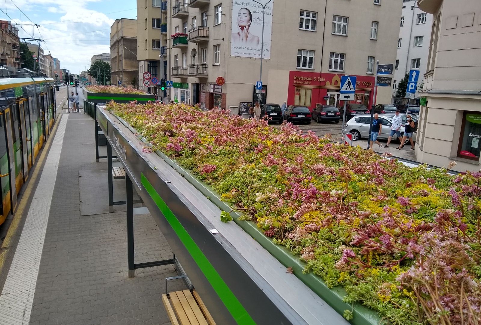 Poznańskie eko przystanki oczyszczają powietrze i chłodzą w upalne dni