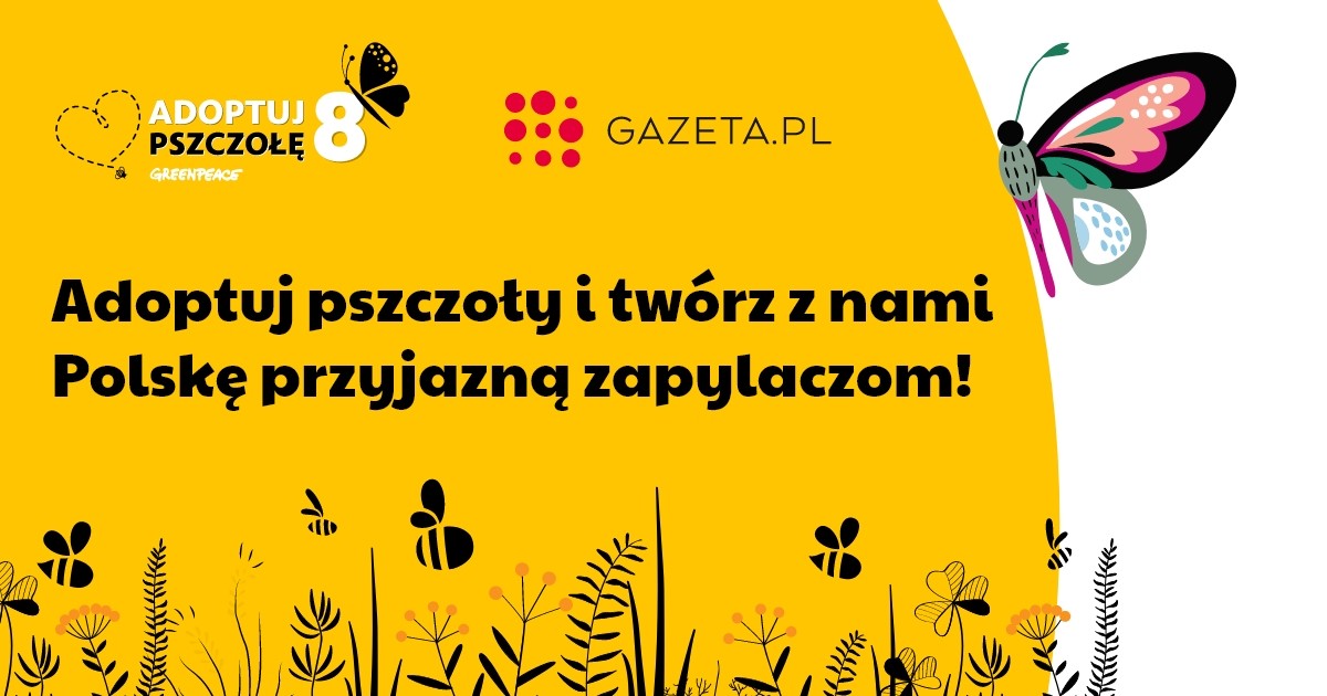 Gazeta.pl po raz kolejny wspiera akcję „Adoptuj Pszczołę”
