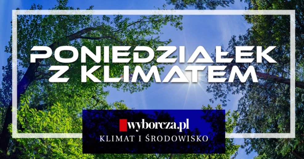 „Poniedziałek z Klimatem” – ekologiczna akcja Wyborcza.pl