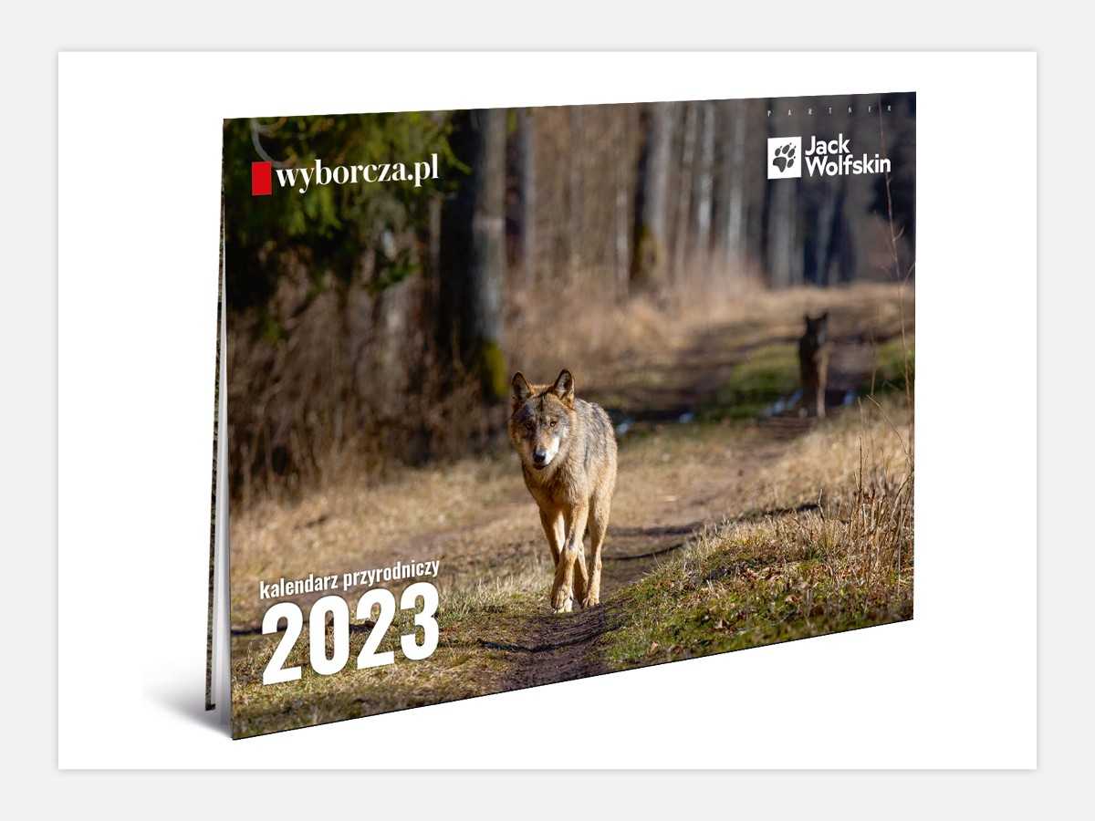 Kalendarz przyrodniczy ze zdjęciami Adama Wajraka we wtorek z „Gazetą Wyborczą”