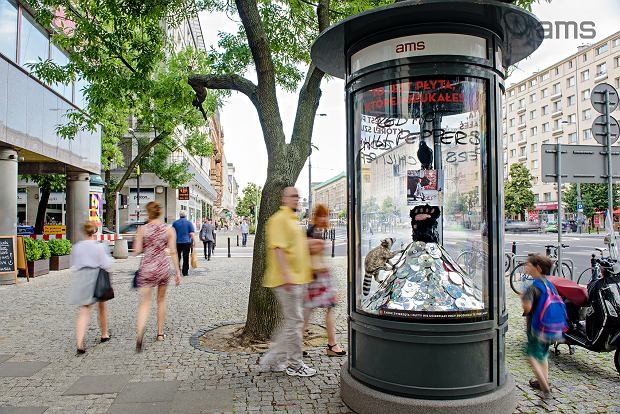 Niedźwiedź, szop pracz i kruk w słupach reklamowych AMS