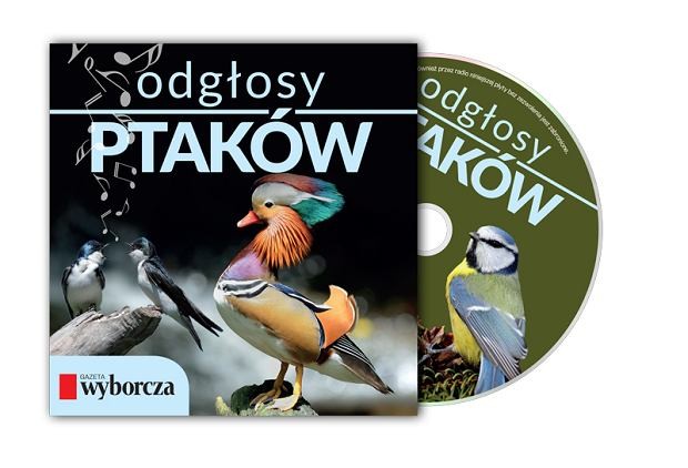 Książki 