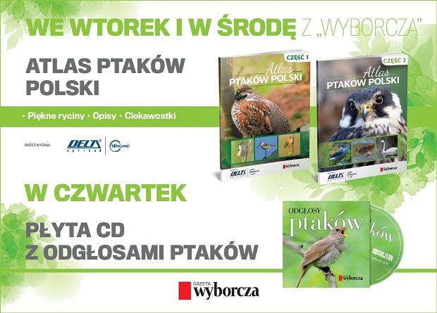 Książki 