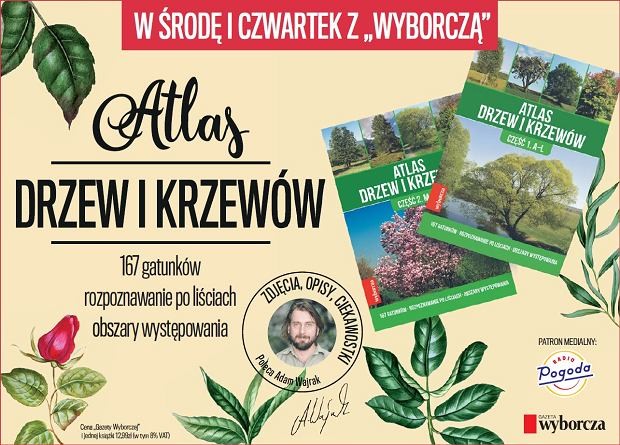 Dwuczęściowy 